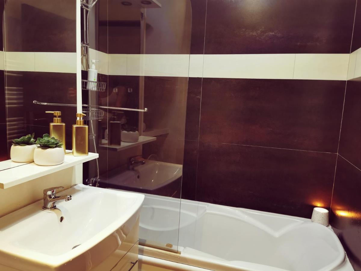 Nice & Economic Studio Baia Mare Luaran gambar